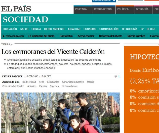 El País. Sociedad: Los cormoranes del Vicente Calderón