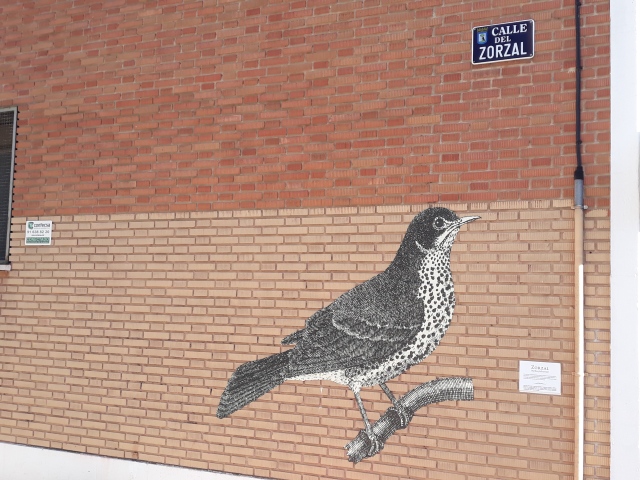 Calle Zorzal Aver Aves